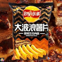 a bag of potato chips with meat on it
